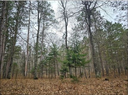 Riverfront Property in Burnett County, Wisconsin