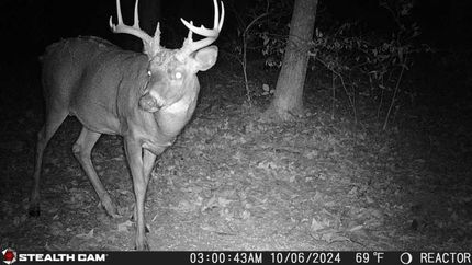 Recreational Property for sale in Champaign County, Ohio