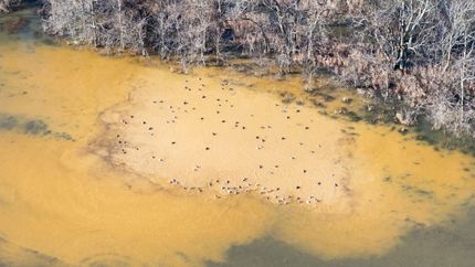 Property in Prairie County, Arkansas