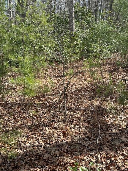 Residential Property for sale in Fentress County, Tennessee