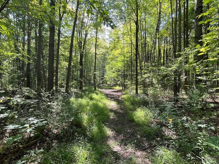 Recreational Property in Saint Clair County, Michigan