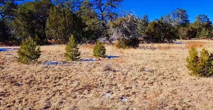 Farm Property for sale in Cibola County, New Mexico