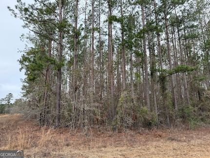 Property in Toombs County, Georgia