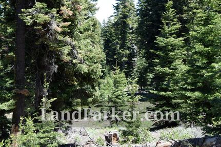 Undeveloped Land in Modoc County, California