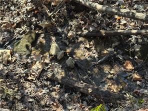 Farm Property for sale in Wilkes County, North Carolina