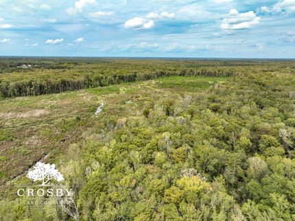 Timberland Property in Colleton County, South Carolina