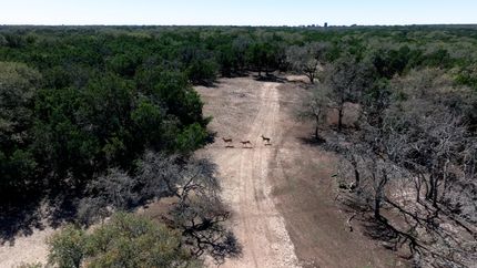 Ranch Property for sale in Burnet County, Texas