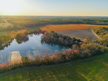 Farm Property in Ben Hill County, Georgia