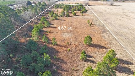 Farm Property in Marlboro County, South Carolina