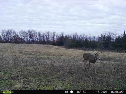 Timberland Property in Schuyler County, Missouri