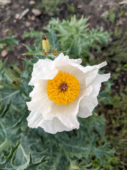 Ranch Property for sale in Hamilton County, Texas