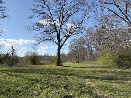 Property for sale in Shelby County, Alabama