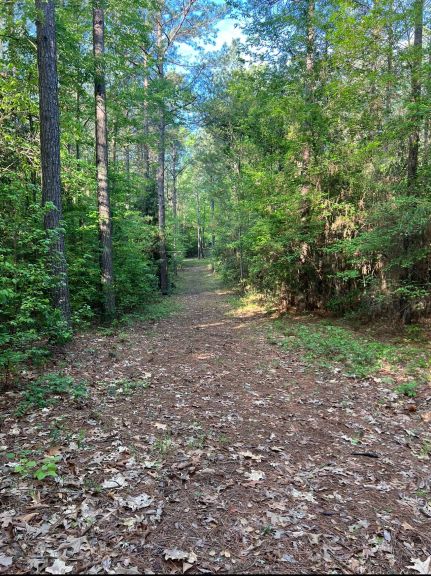 Timberland Property for sale in Jackson Parish, Louisiana