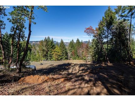 Undeveloped Land in Douglas County, Oregon