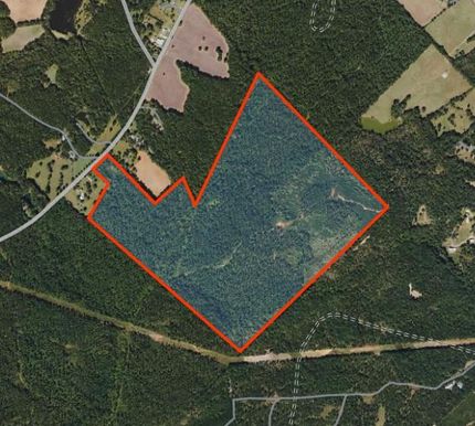 Undeveloped Land in Morgan County, Georgia