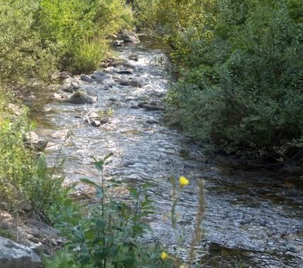 Farm Property in Boise County, Idaho