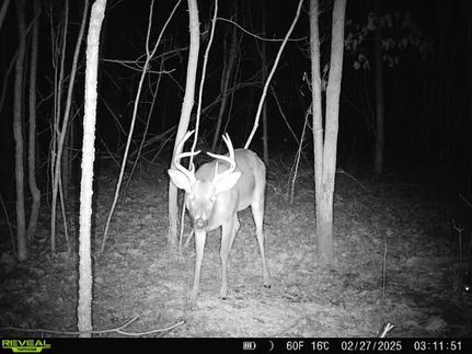 Farm Property for sale in Phillips County, Arkansas