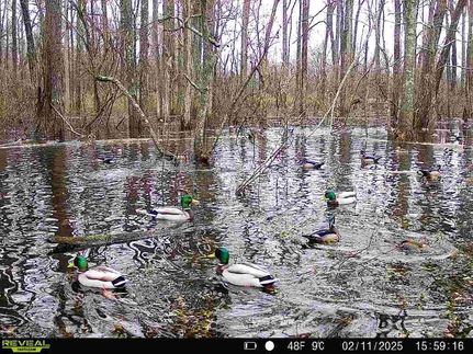 Ranch Property for sale in Phillips County, Arkansas