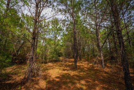 Recreational Property for sale in Newton County, Texas
