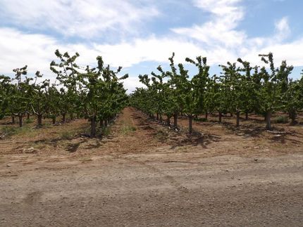 Farm Property for sale in Yakima County, Washington