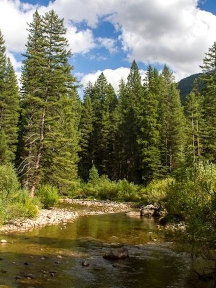 Farm Property in Fremont County, Idaho