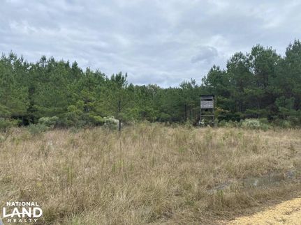Property for sale in Dallas County, Arkansas