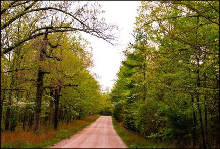 Farm Property for sale in Izard County, Arkansas