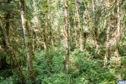 Waterfront Property in Clallam County, Washington