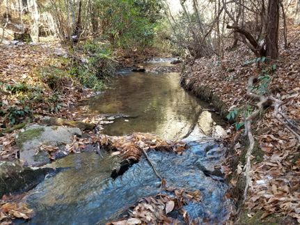 Farm Property for sale in Rutherford County, North Carolina