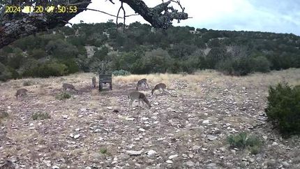 Ranch Property for sale in Edwards County, Texas