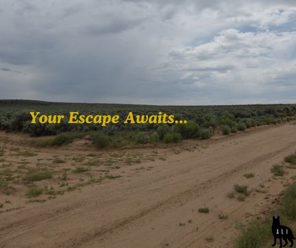 Undeveloped Land in Costilla County, Colorado