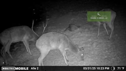 Property for sale in Crockett County, Texas