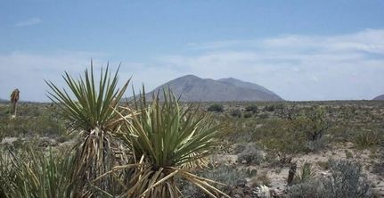Hunting Land for sale in Hudspeth County, Texas