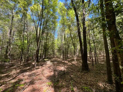 Ranch Property for sale in Coffee County, Alabama
