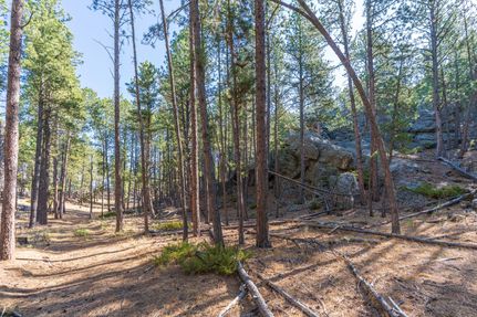 Ranch Property for sale in Custer County, South Dakota