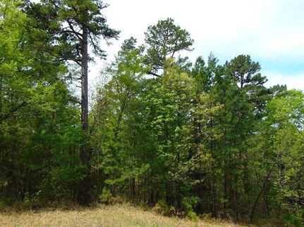 Timberland Property for sale in Latimer County, Oklahoma