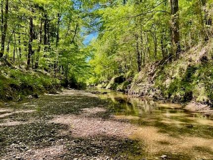 Farm Property for sale in Oktibbeha County, Mississippi