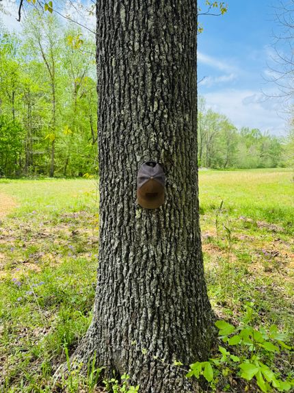 Property for sale in Hardeman County, Tennessee