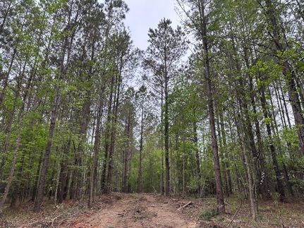 Farm Property for sale in Choctaw County, Mississippi