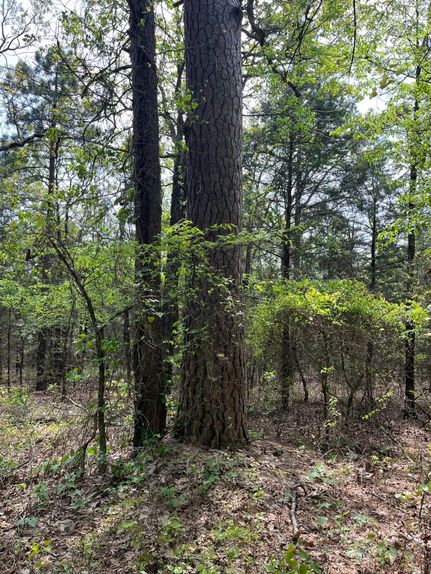 Ranch Property for sale in Le Flore County, Oklahoma