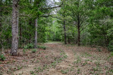 Farm Property for sale in Lee County, Texas