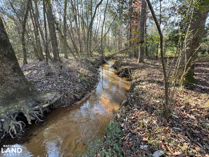 Ranch Property in Henry County, Alabama
