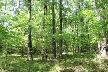 Property for sale in Montgomery County, Alabama