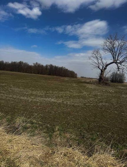 Ranch Property for sale in Chariton County, Missouri
