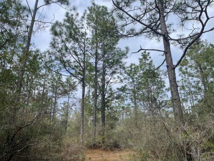 Farm Property for sale in Jackson County, Florida