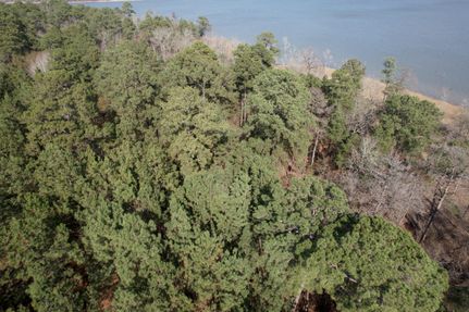 Property for sale in San Augustine County, Texas