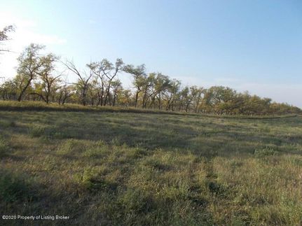 Undeveloped Land in Stark County, North Dakota