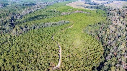 Recreational Property in Liberty County, Florida