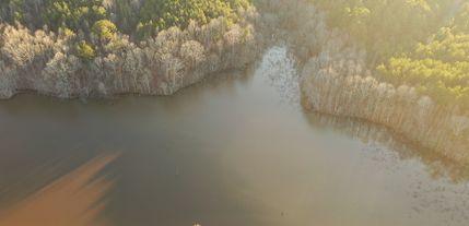 Timberland Property for sale in Tippah County, Mississippi