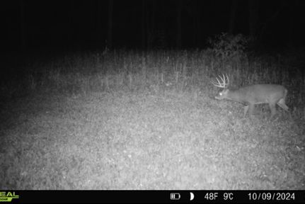 Timberland Property for sale in Mercer County, Illinois